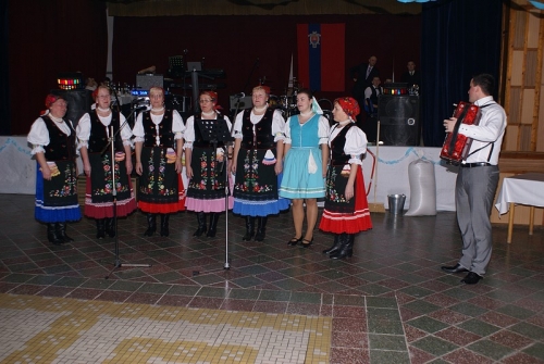 Ples DHZ Žbince 2014